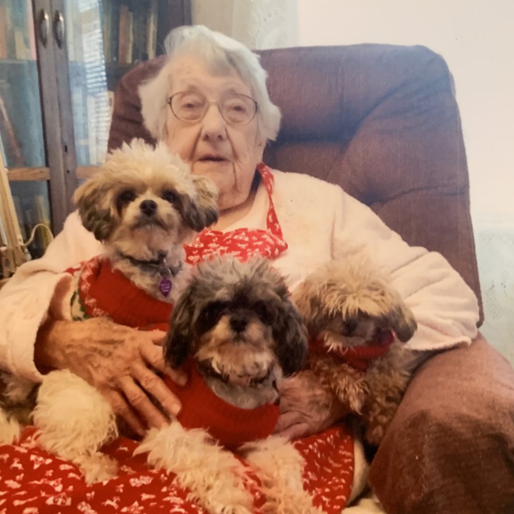 Old Lady with dogs on lap