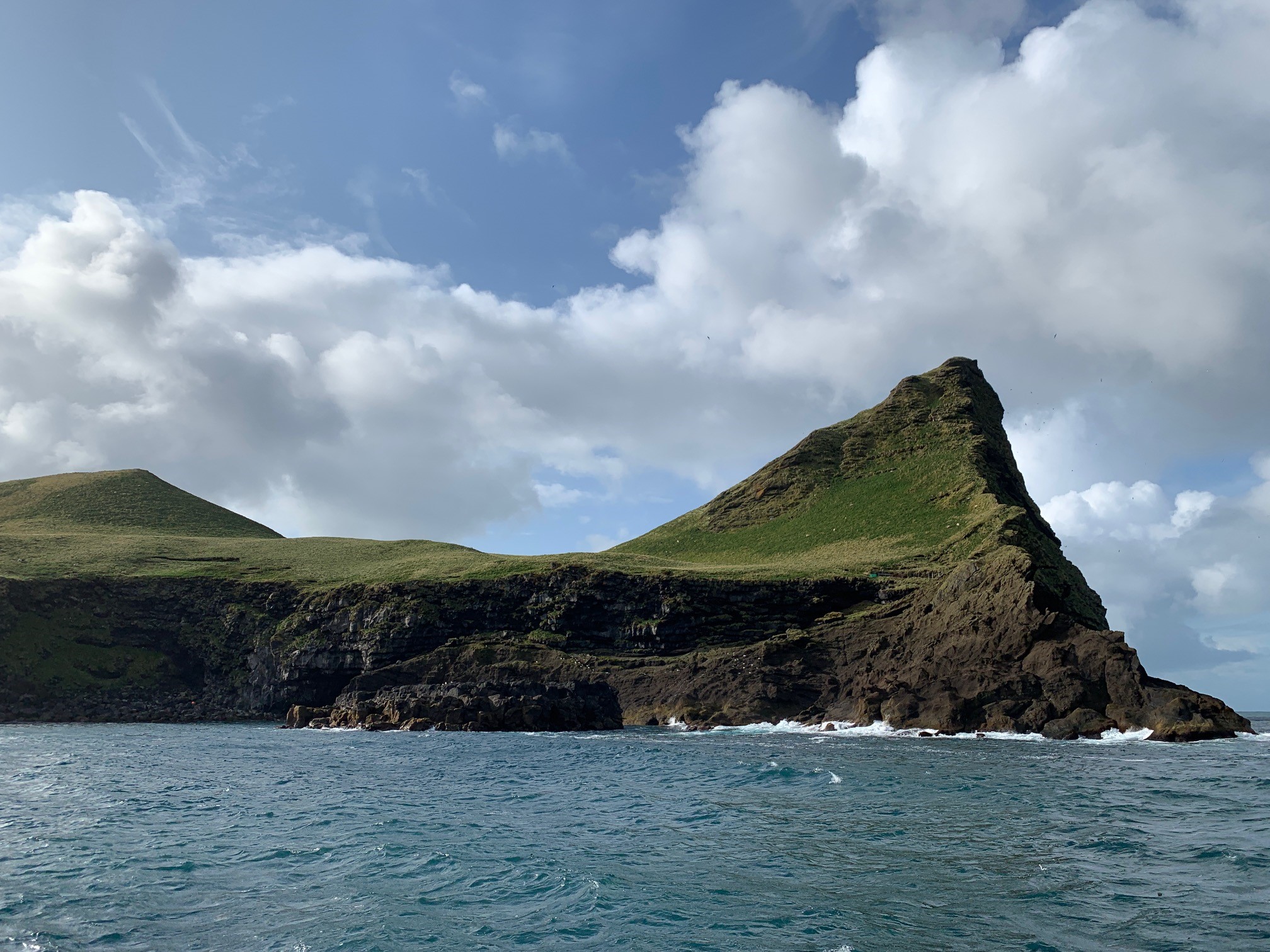 People Are Throwing Baby Puffins Off Of Cliffs In Iceland–But It's