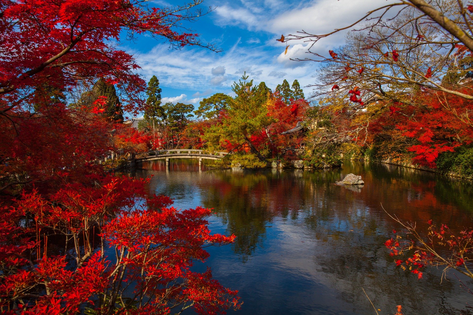 Gorgeous autumn leaves and scenery in Kyoto Japan