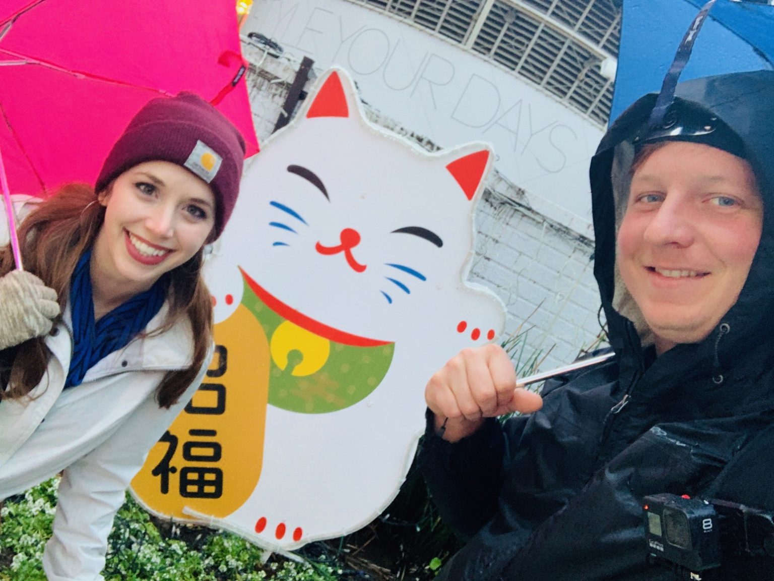 Maneki-neko cats are good luck charms in Japan