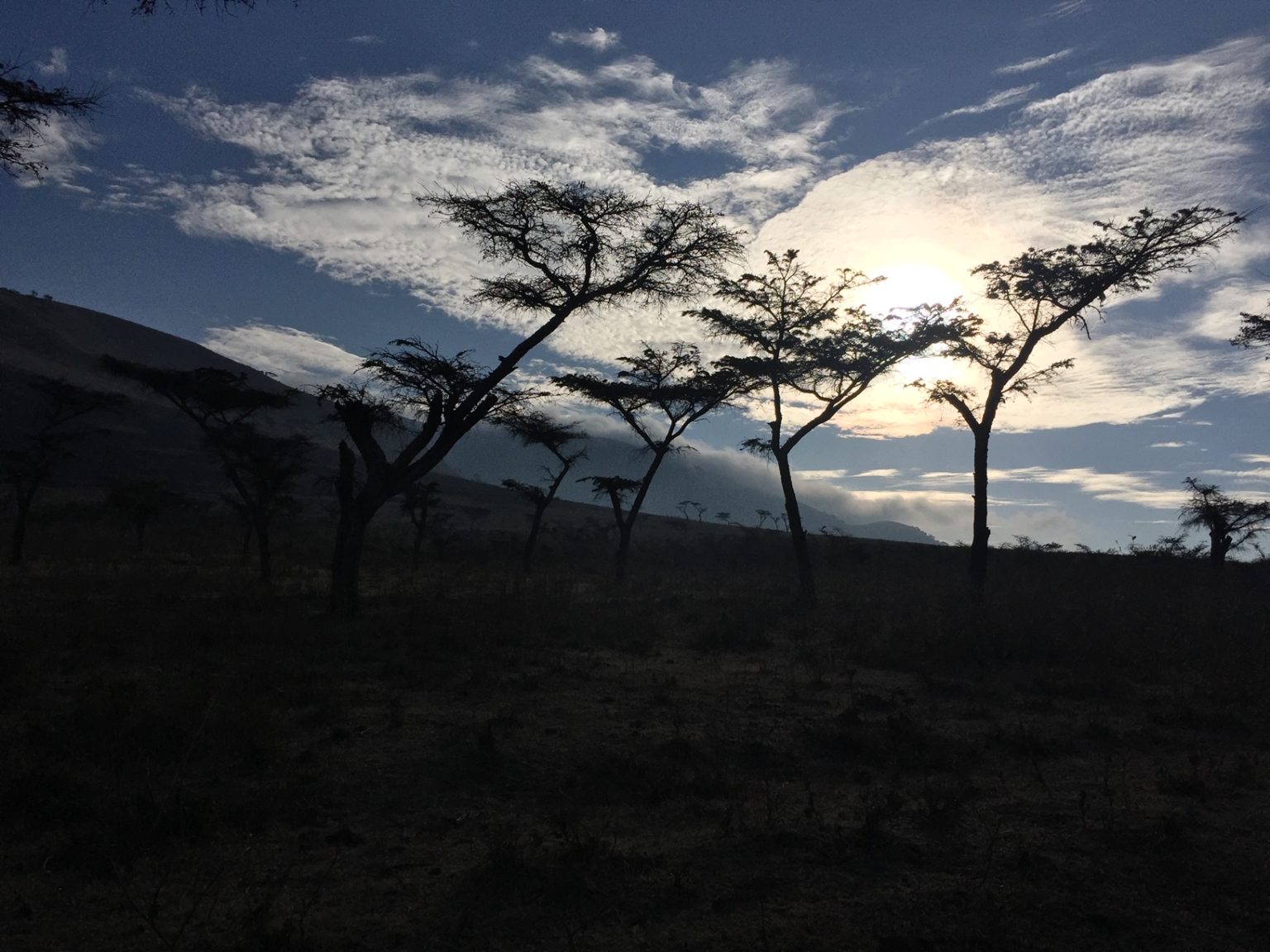 The beautiful Serengeti landscape at dusk